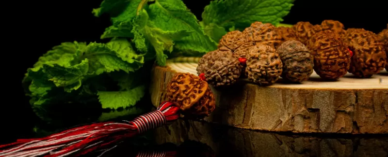 Rudraksha - Vyas Astrology