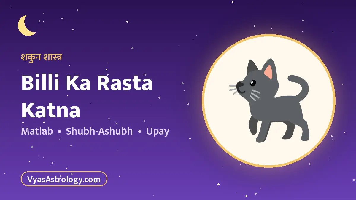 बिल्ली का रास्ता काटना - billi ka rasta katna ka matlab