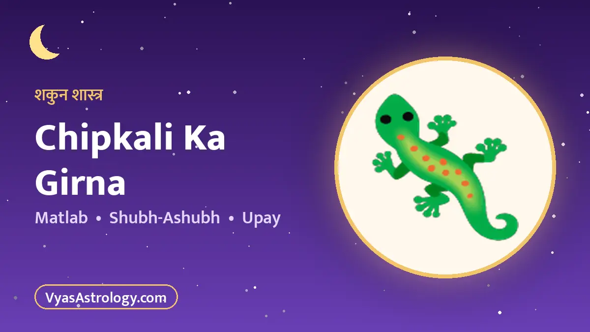 छिपकली का गिरना - chipkali ka girna ka matlab