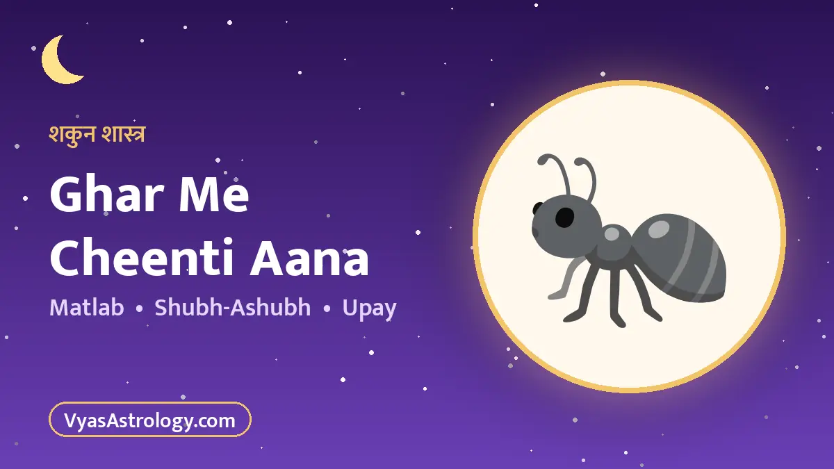 घर में चींटी आना - ghar me cheenti aana ka matlab