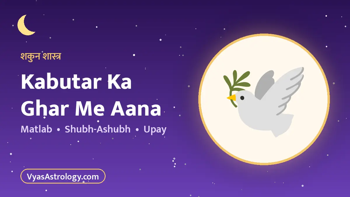 कबूतर का घर में आना - kabutar ka ghar me aana ka matlab