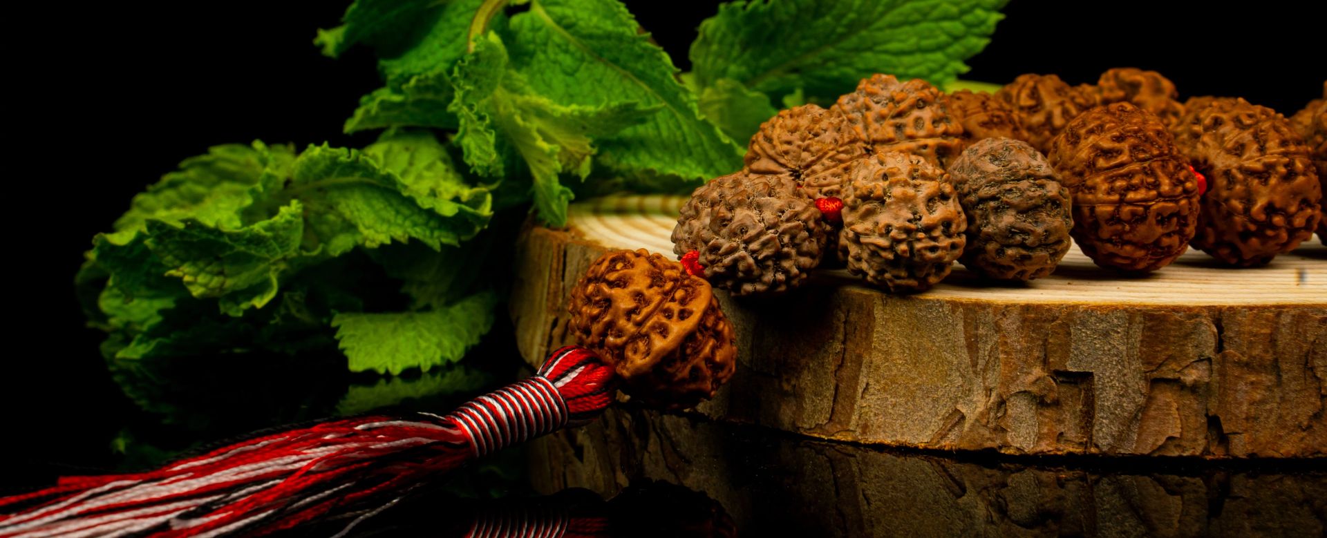 Rudraksha
